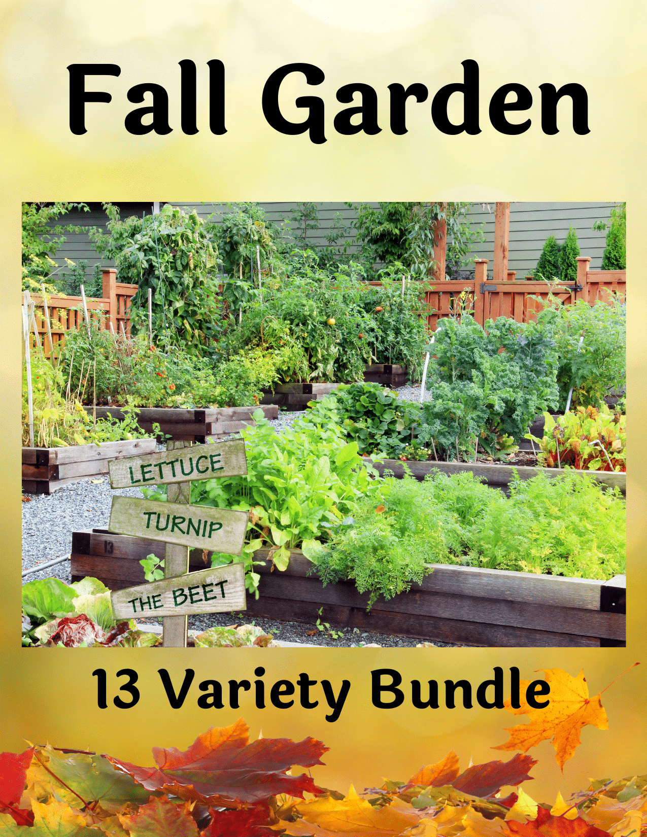 Fall Garden 2